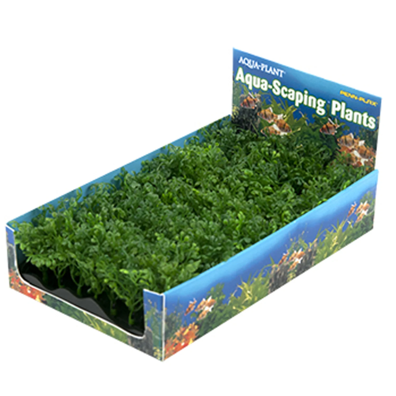 DISPLAY PLANTAS SMALL 5 UDS VERDE