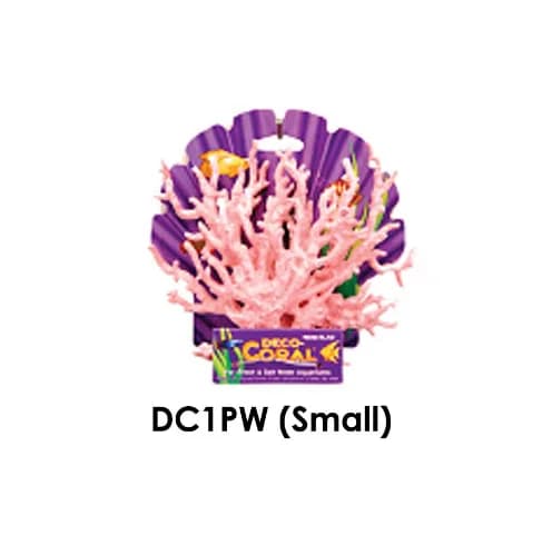 CORAL SMALL ROSADO