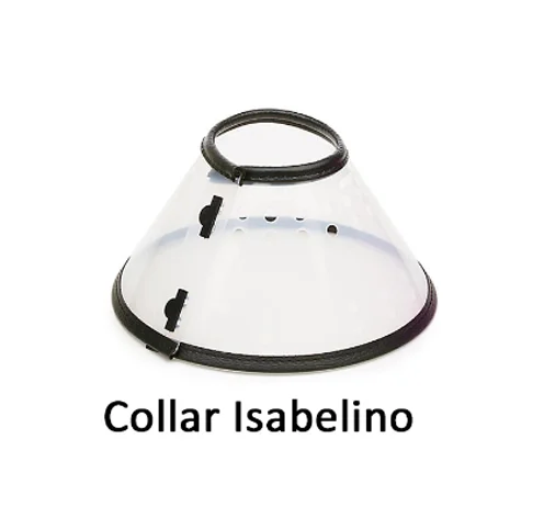 COLLAR ISABELINO EXTRA LARGE-30CM