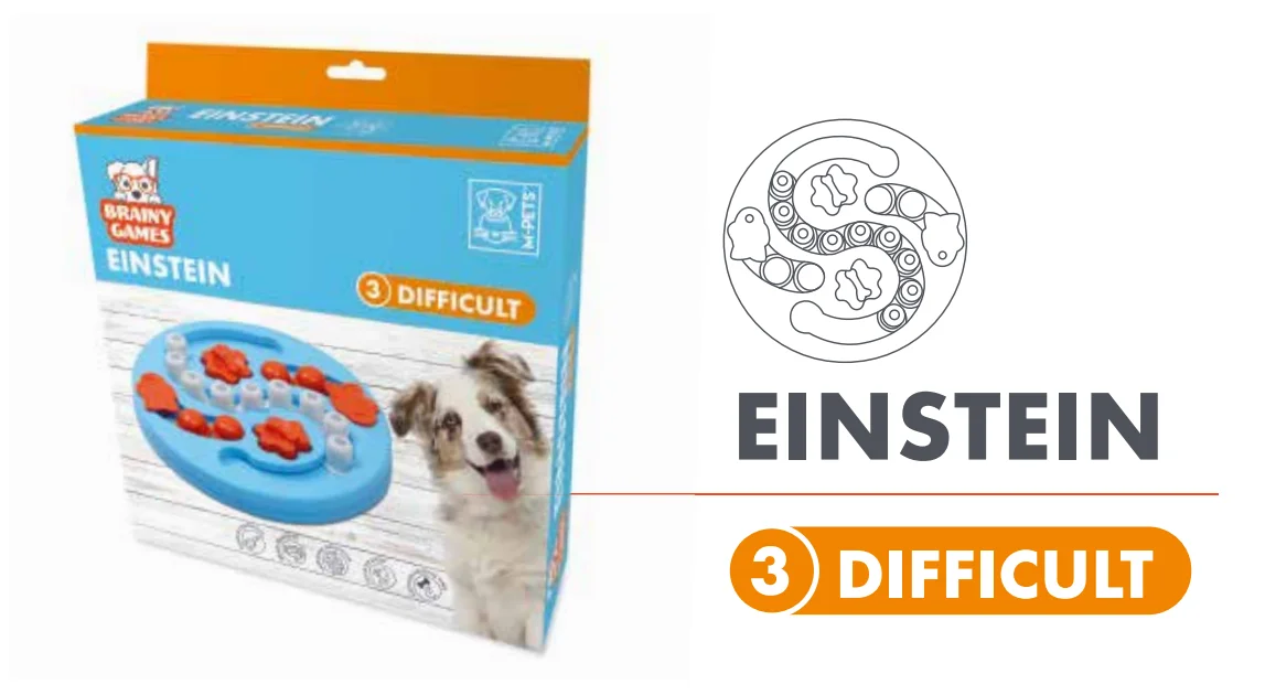 EINSTEIN JUEGOS MENTALES 29X29X5 DIFICIL