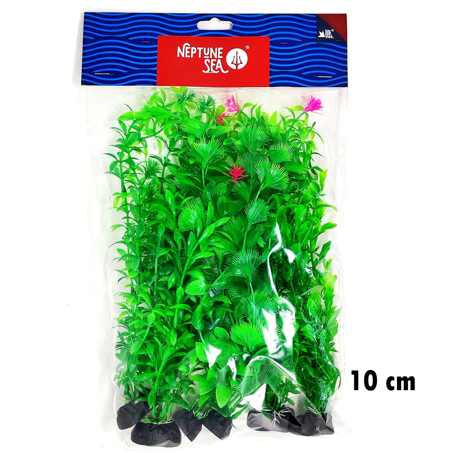 PLANTA SURTIDA VERDE 6 UDS 10 CM