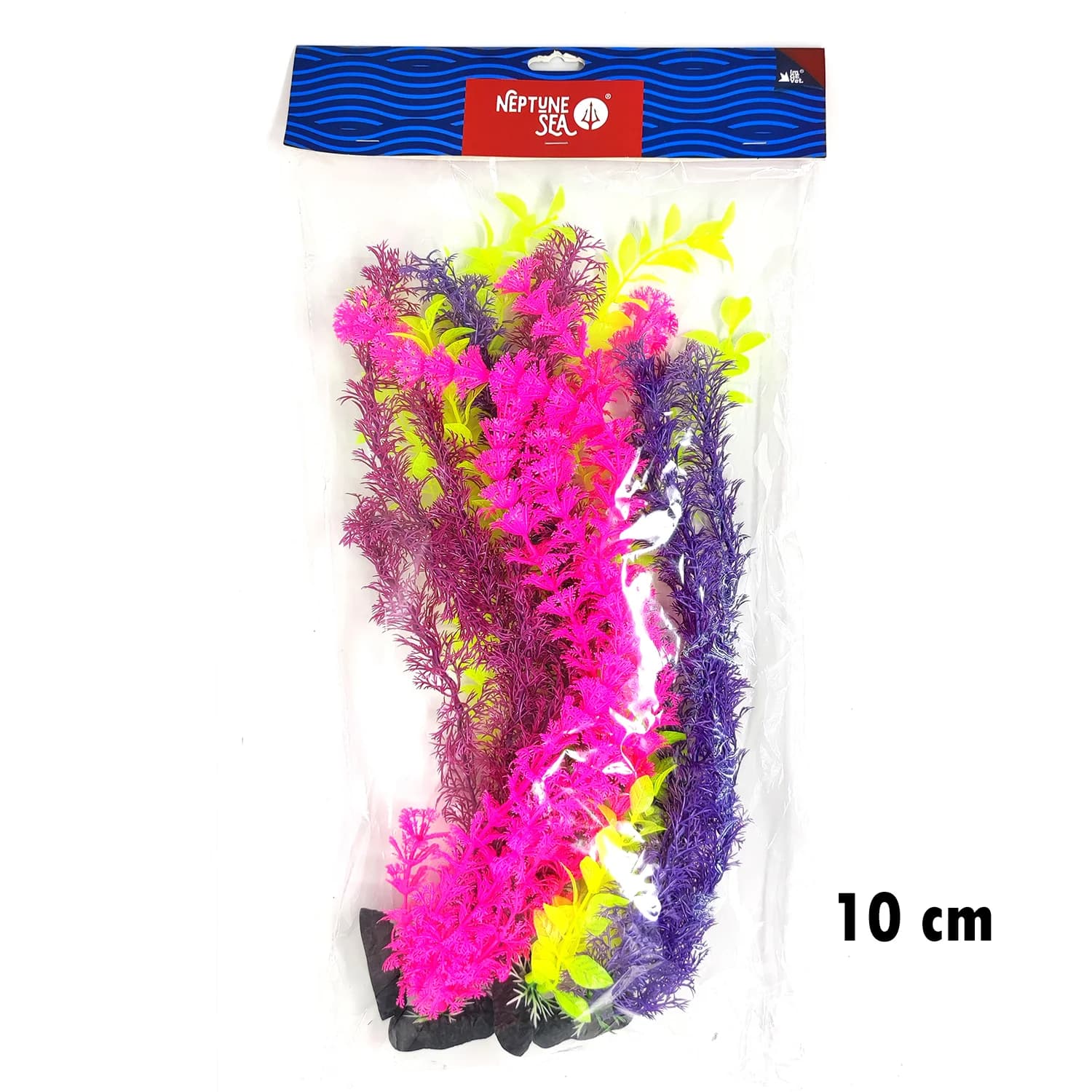 PLANTA SURTIDA COLOR 6 UDS 10 CM
