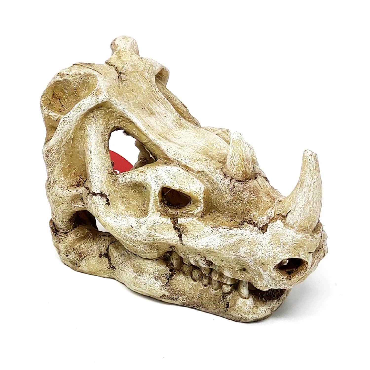 CABEZA DE RINOCERONTE 16 X9,5 X 10,7 CM