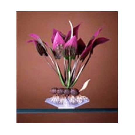 PLANTA VERDE BOTTOM