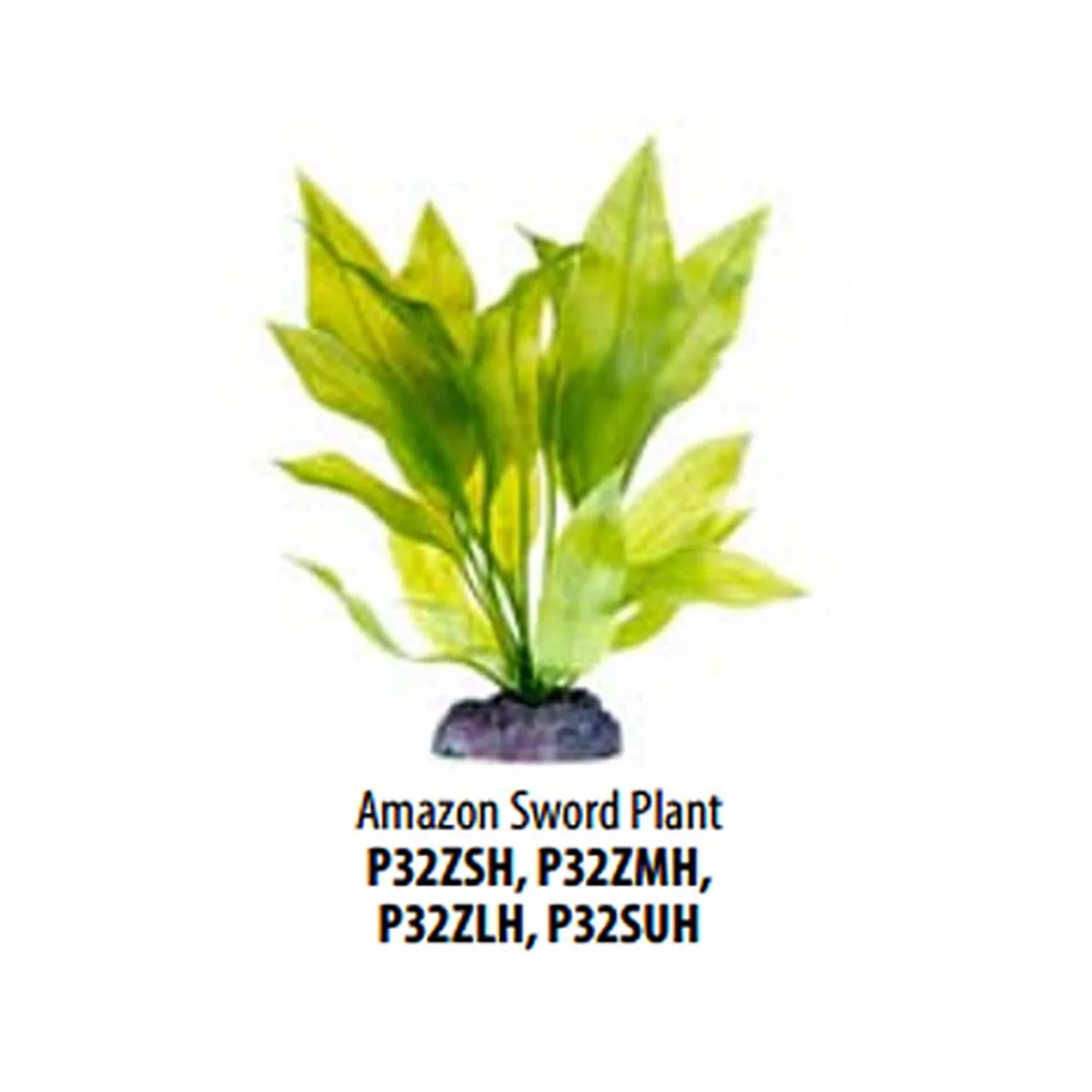 PLANTA HUNDIDA AMAZONA LARGE