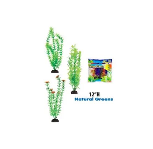 PLANTA VERDE LARGE (6 PACK)