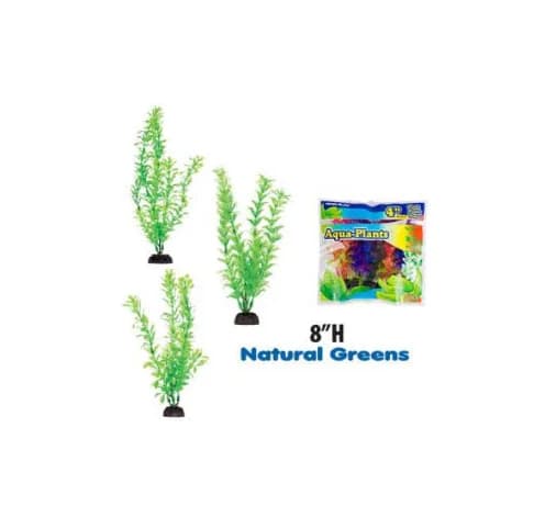 PLANTA VERDE MEDIUM (6 PACK)