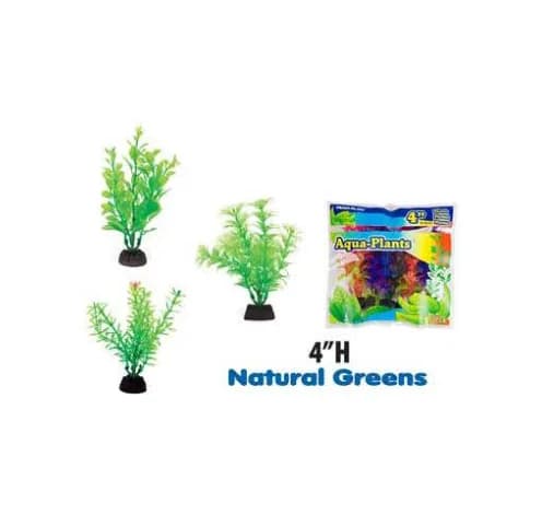 PLANTA VERDE SMALL (6 PACK)