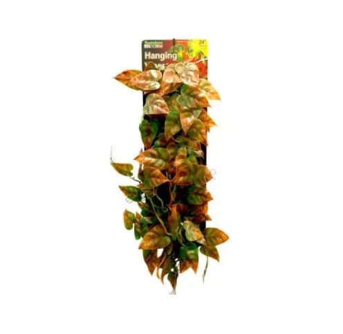 ENRREDADERA VERDE/CAFE 24"