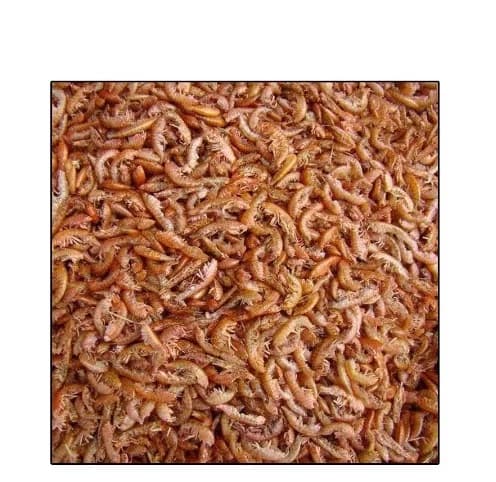 GAMMARUS 200GR