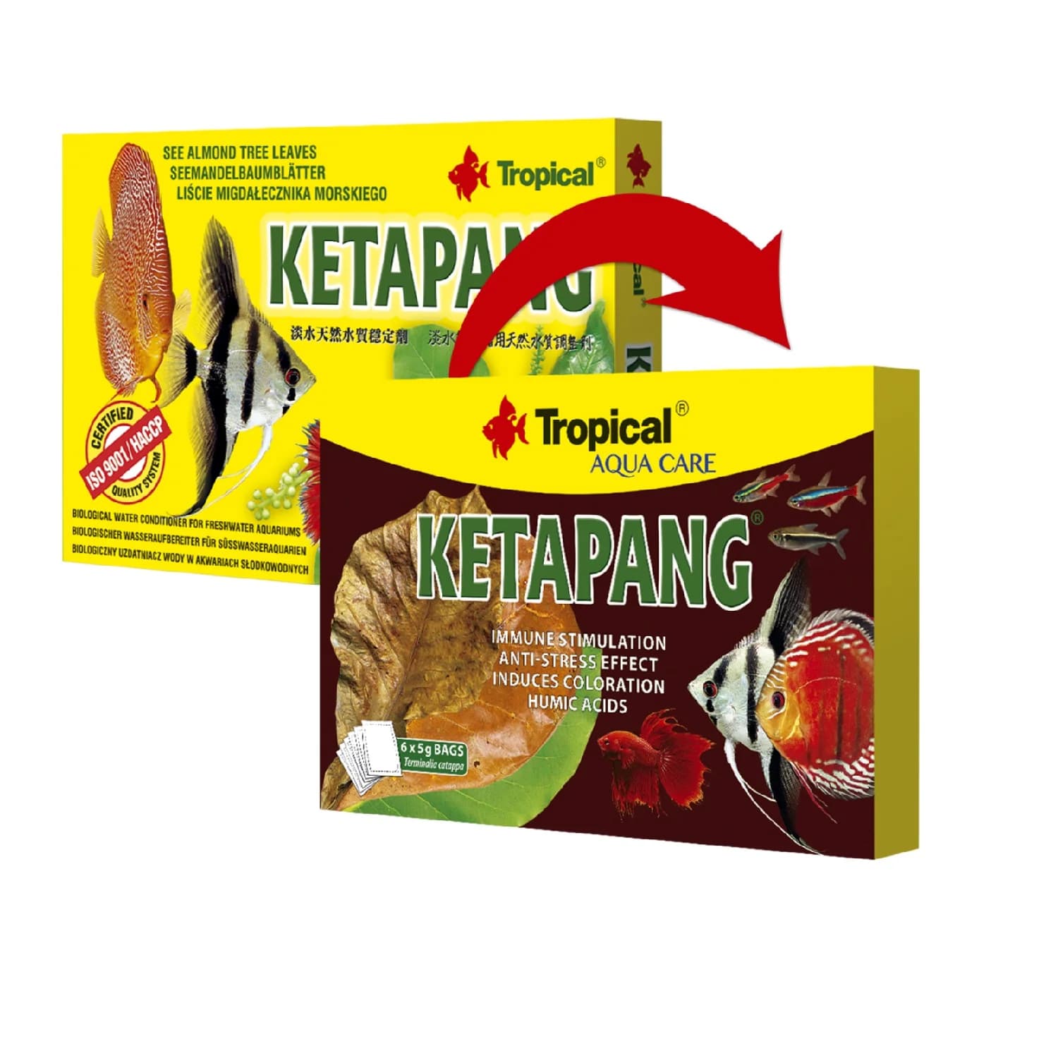 KETAPANG 6 SOBRES / 5 GR
