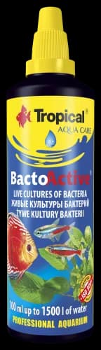 BACTO ACTIVE 100ML