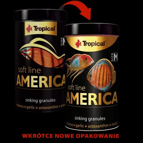 SOFT LINE AMERICA SIZE M 100ML/60G