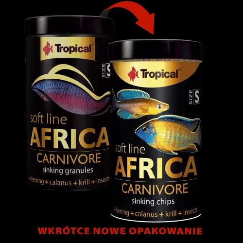 SOFT LINE AFRICA CARNIVORE SIZE S 60 G