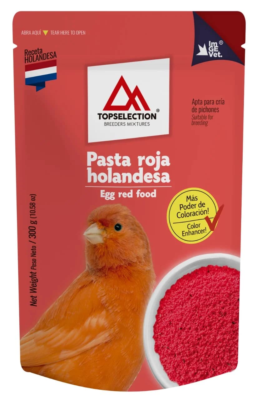 TOP SELECTION PASTA ROJA HOLANDESA 300G