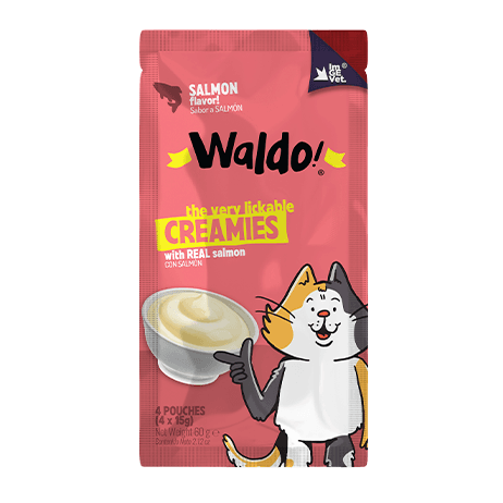 WALDO CREAMY CAT TREAT SALMON PREM60G