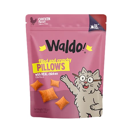 WALDO CAT PILLOWS POLLO 110G