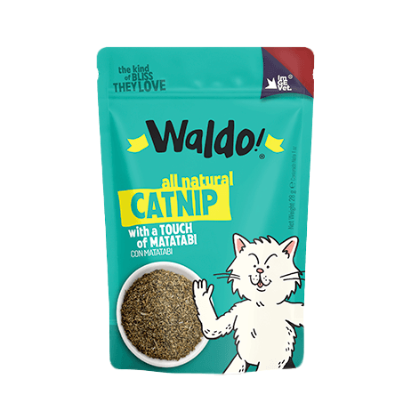 WALDO CATNIP 28G