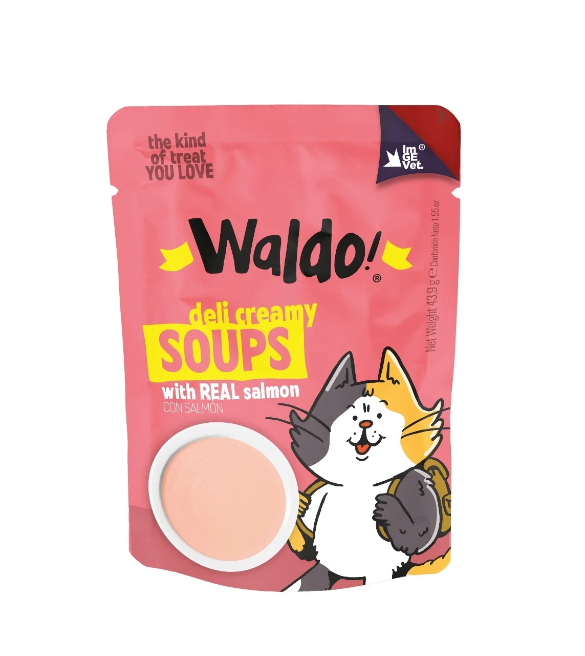 WALDO CATS DELI SOUPS 43.9G 24 PACK / SALMON